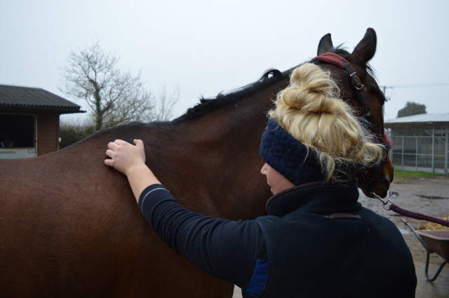 Milly Bayliss