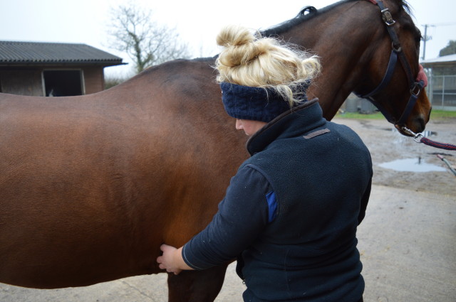 Milly Bayliss