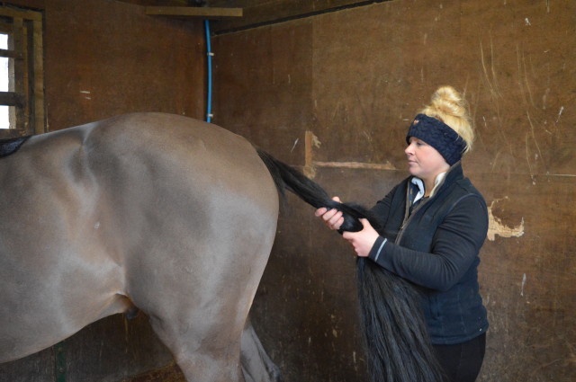 Milly Bayliss